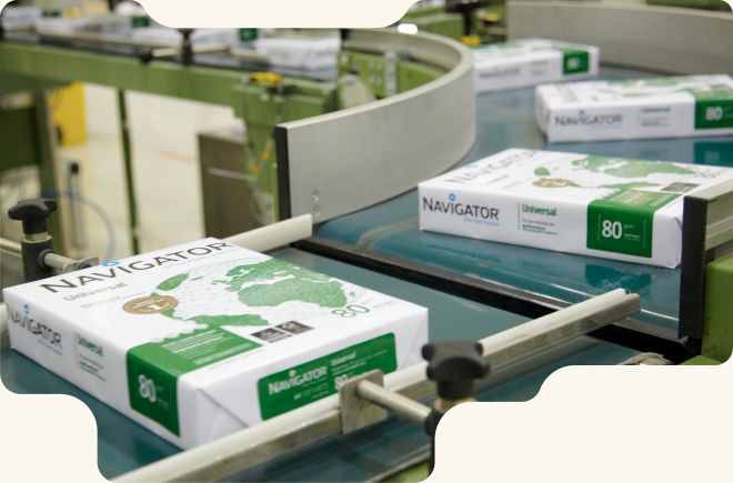 Paper machinery and eucalyptus fibre applications