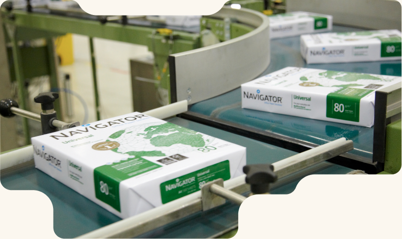 Paper machinery and eucalyptus fibre applications