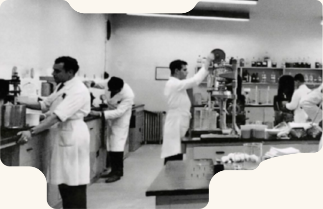 Historic photographs of the Cacia mill team and machinery