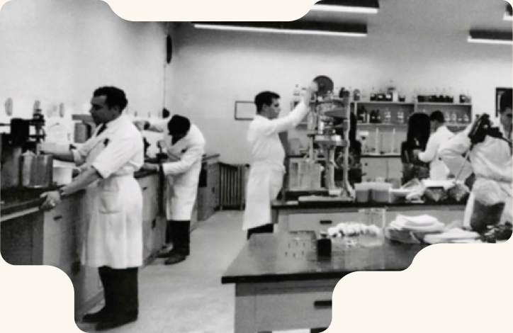 Historic photographs of the Cacia mill team and machinery