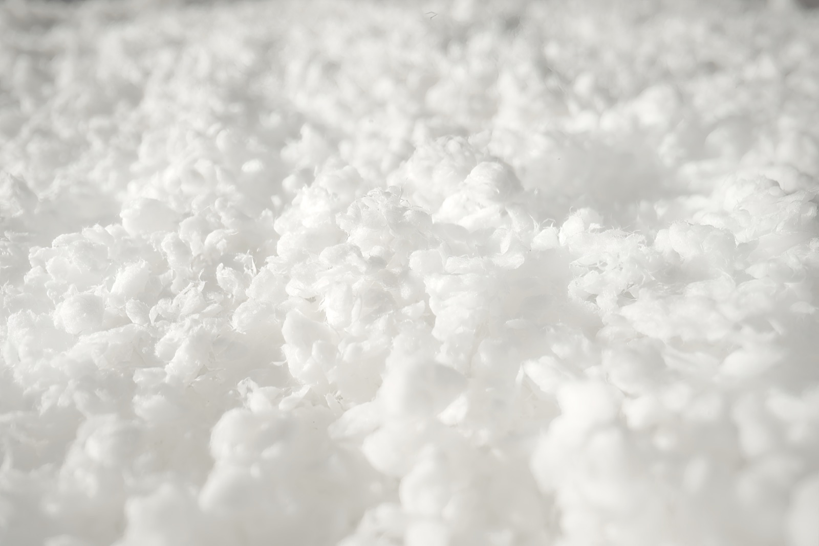 Eucalyptus pulp fibres